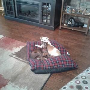 Meet your Posher, Karen